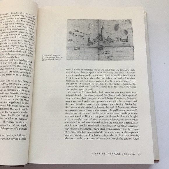 Celebrating Italy by Carol Field Signed First Edition Cookbook - Picture 5 of 6